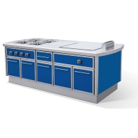 燃气四头平头炉连扒炉组合 (电磁安全阀)